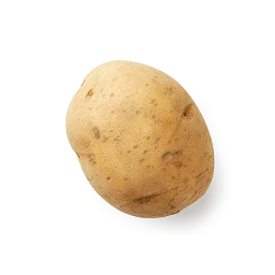 zdjęcie użytkownika